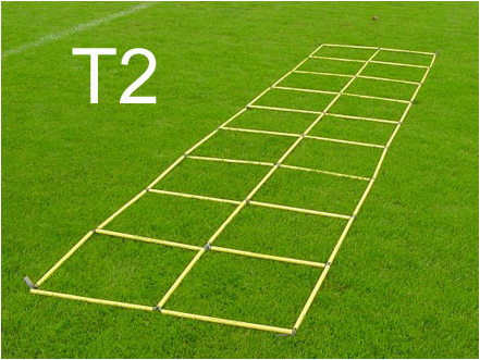 T2 Professional - Double Agility Ladder
