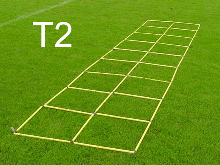 T2 Professional Double Agility Ladder Tanner Speed Academy